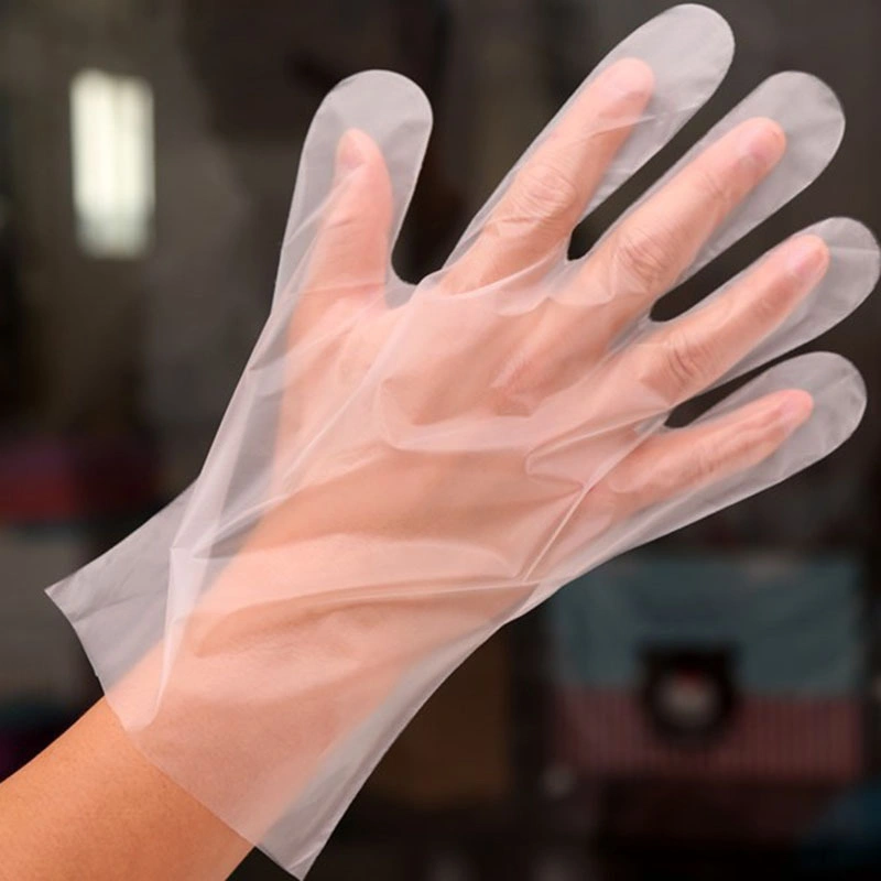 Disposable Glove HDPE Clear Color Plastic Polythene PE CPE LDPE TPE Glove